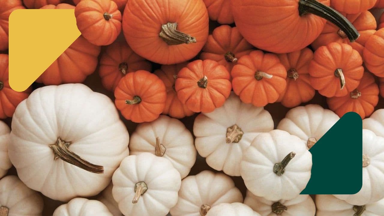 🧡 Tekvicová sezóna je tu: 5 dôvodov, prečo tekvica patrí do fit jedálnička