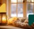 Jesenná atmosféra so sviečkou a dekou – ako si udržať energiu, keď sa dni skracujú | FitnessMenu